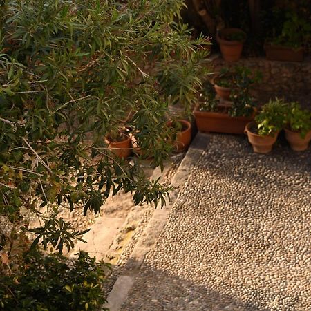 Casa Artia Villa Chania  Exterior photo